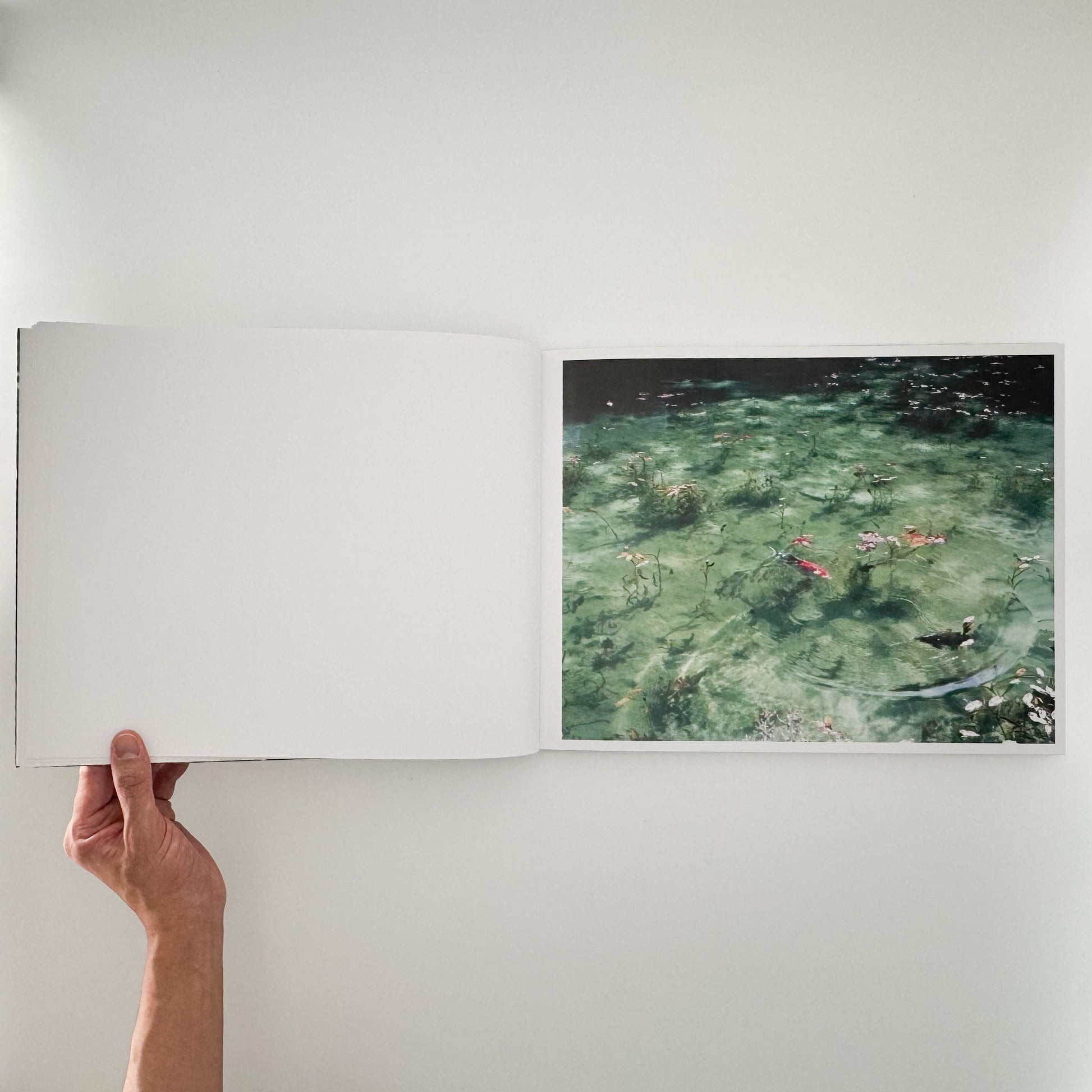 鈴木理策　Water Mirror Case Publishing