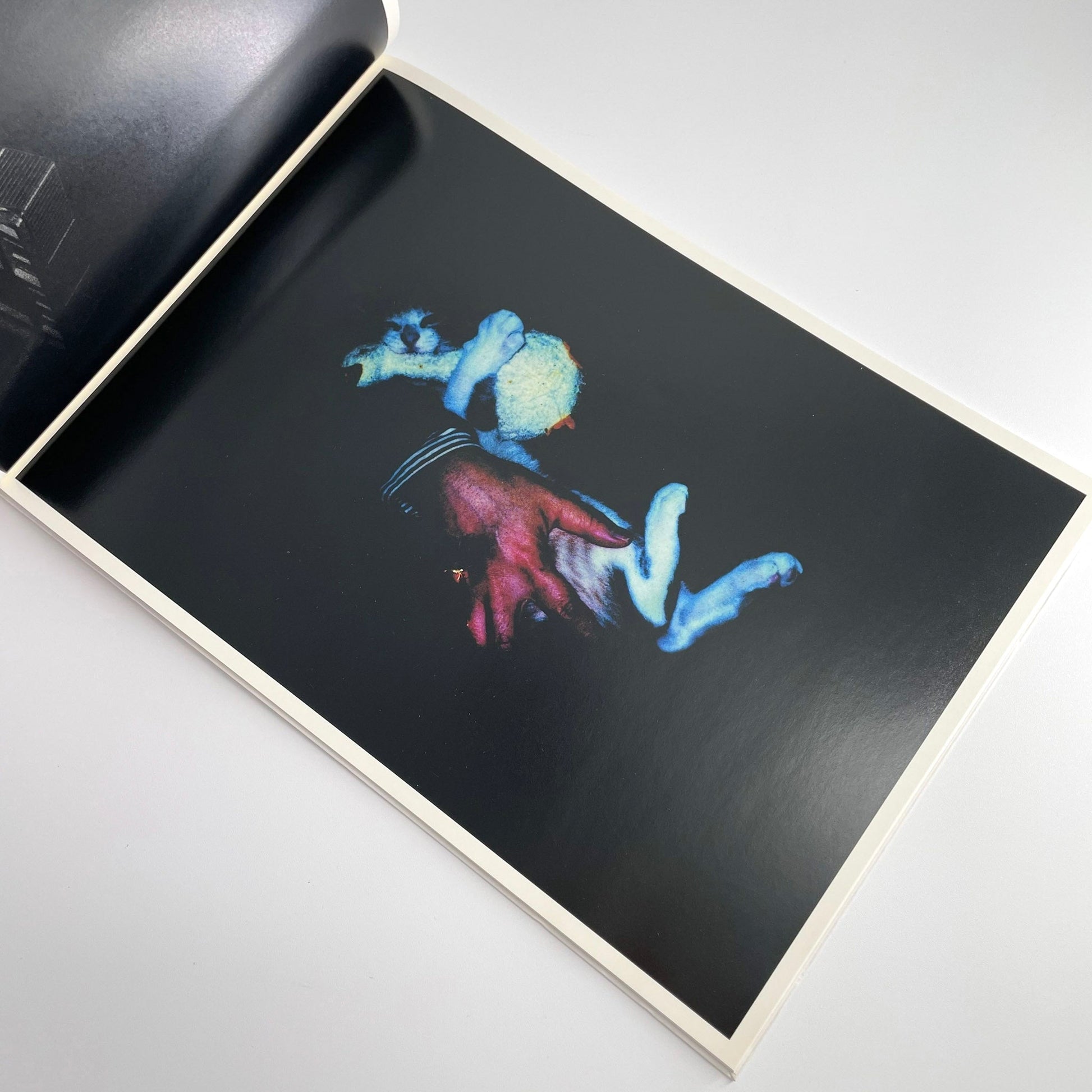 高木こずえ　MID 赤々舎