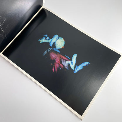 高木こずえ　MID 赤々舎