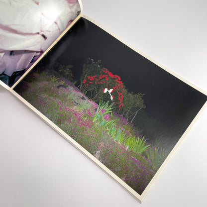 高木こずえ　MID 赤々舎