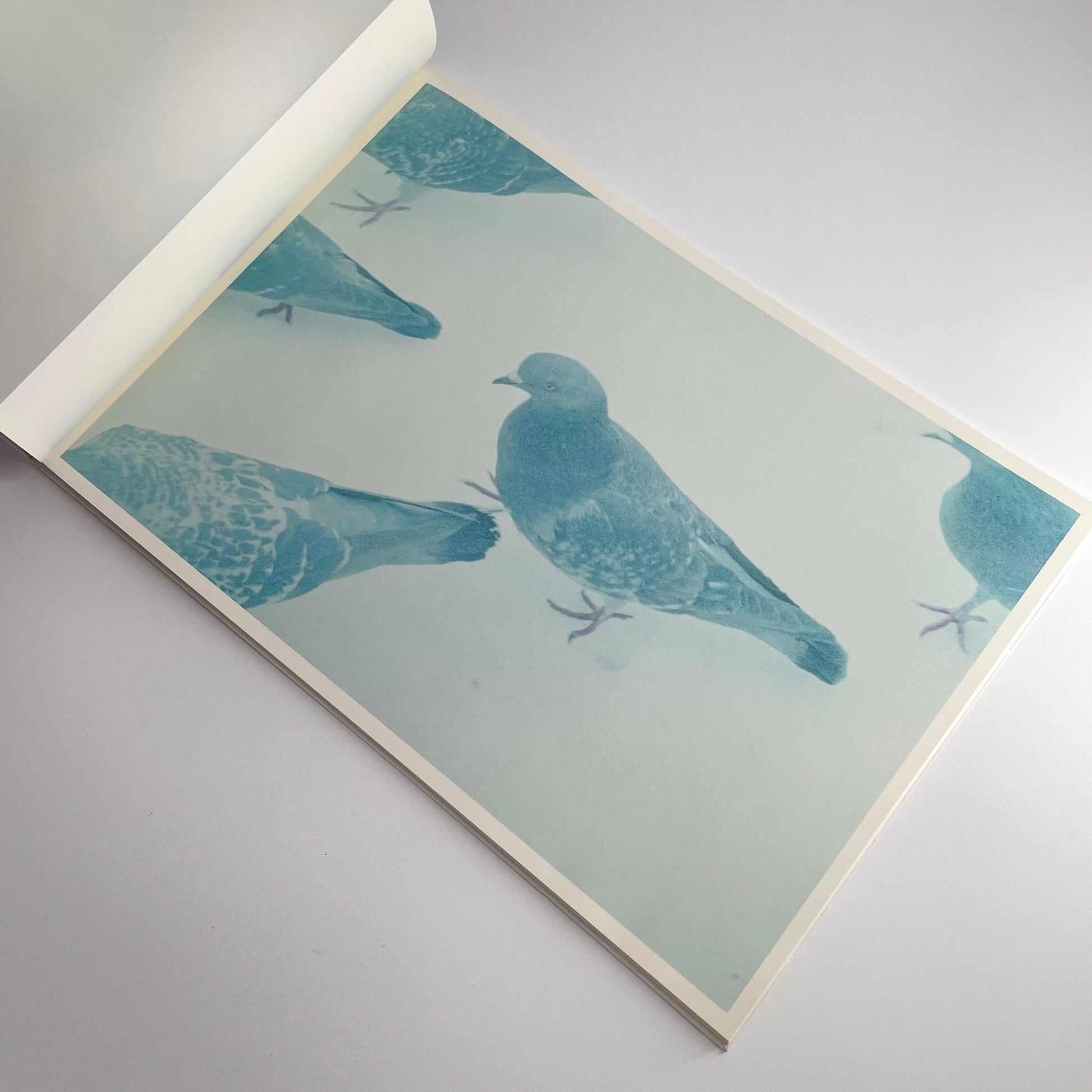 高木こずえ　MID 赤々舎