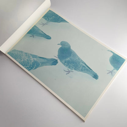 高木こずえ　MID 赤々舎