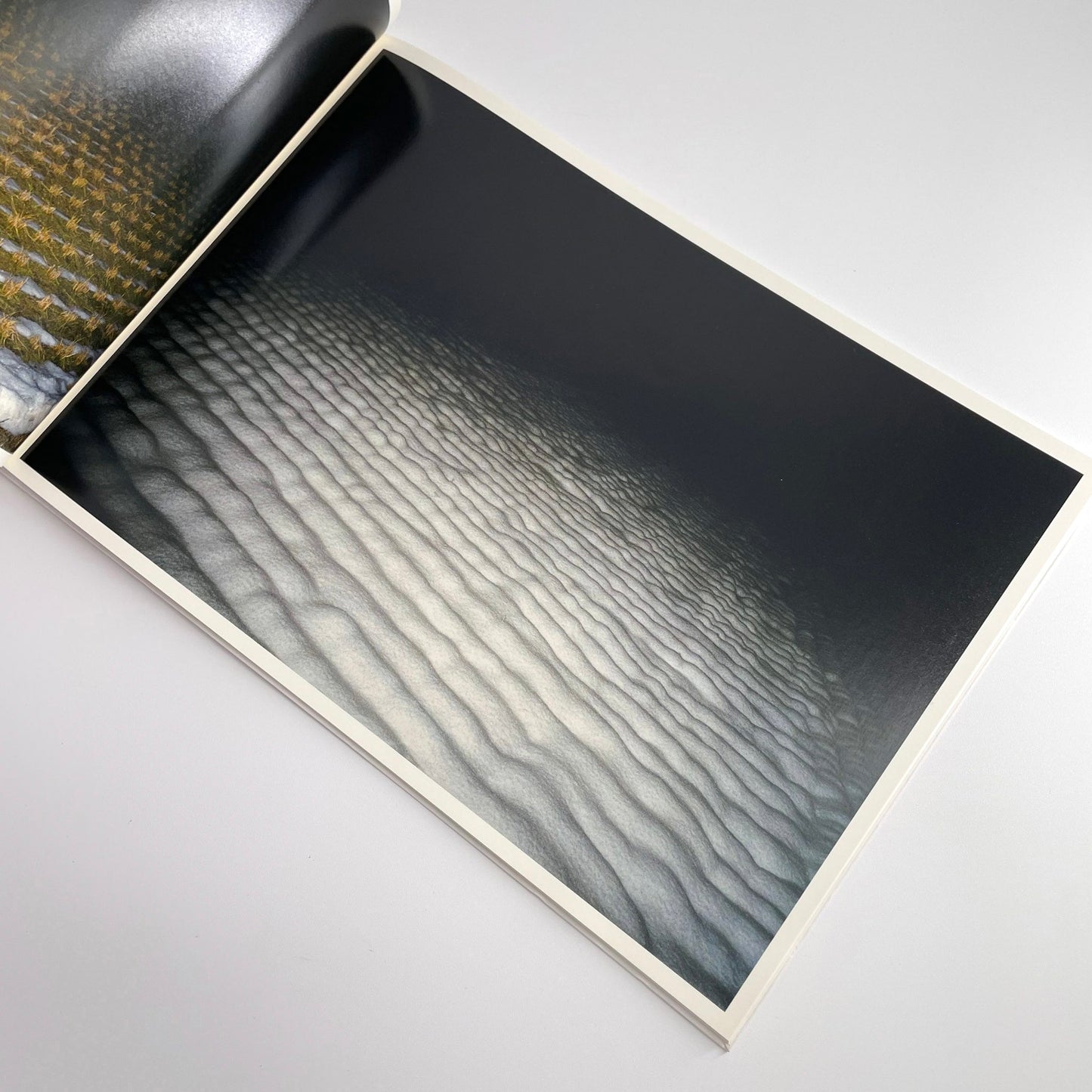 高木こずえ　MID 赤々舎