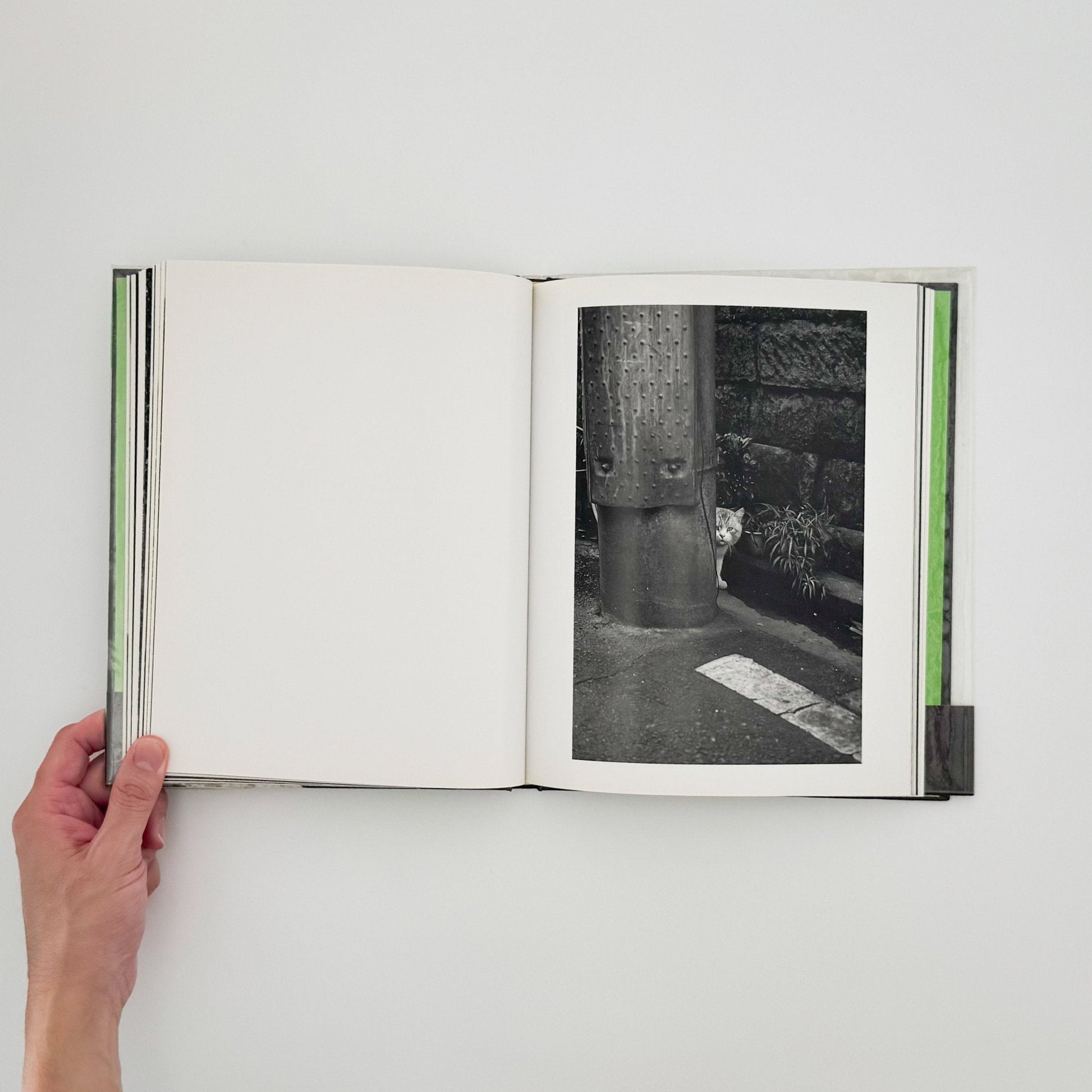 武田花　猫　 - 中央公論社 - 文福