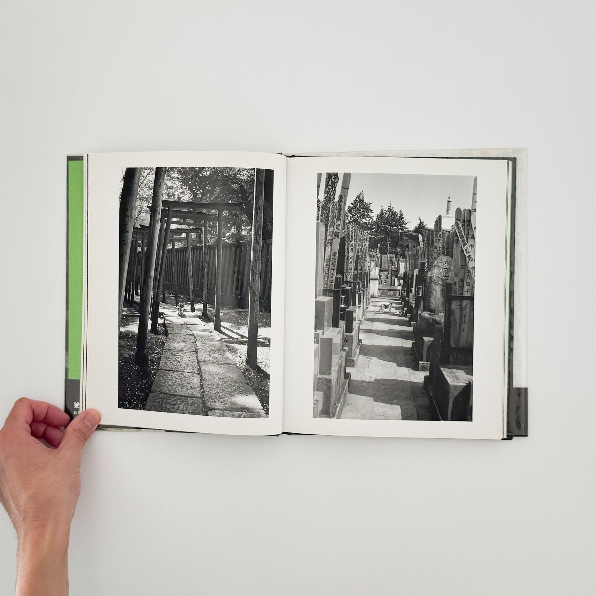 武田花　猫　 - 中央公論社 - 文福