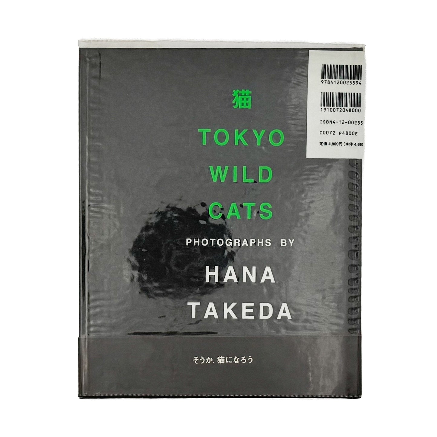 武田花　猫　 - 中央公論社 - 文福