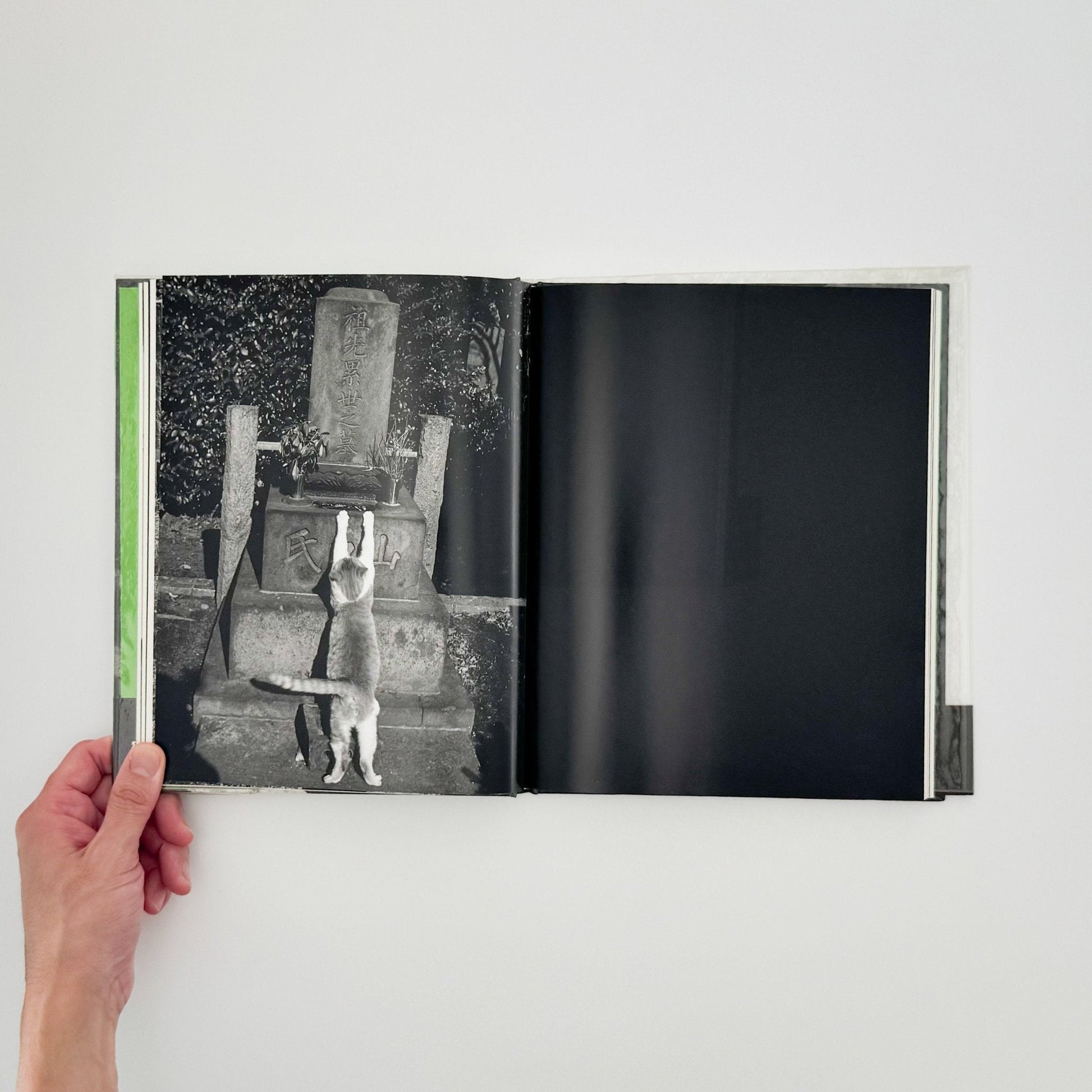 武田花　猫　 - 中央公論社 - 文福