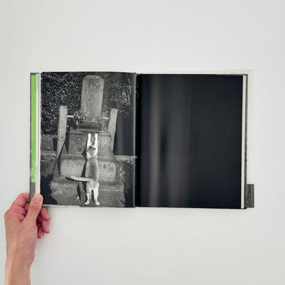 武田花　猫　 - 中央公論社 - 文福