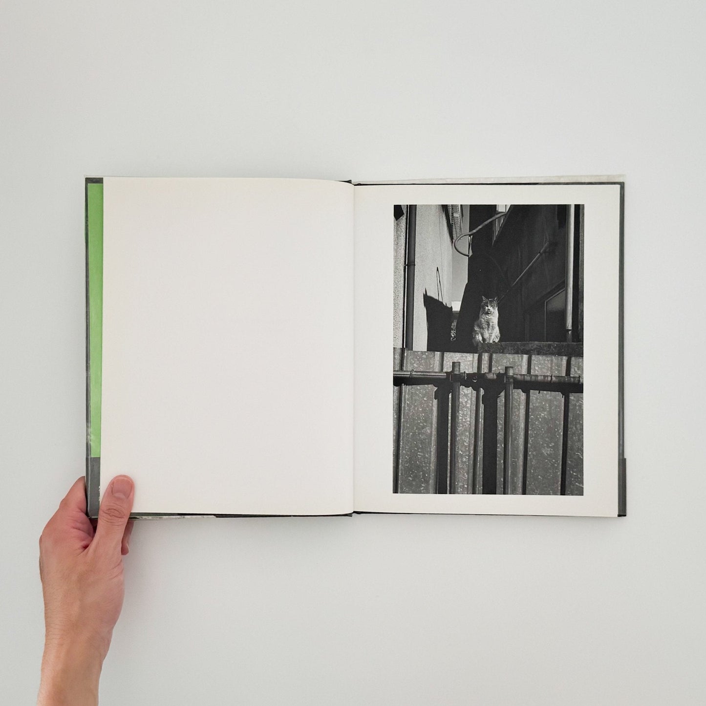 武田花　猫　 - 中央公論社 - 文福