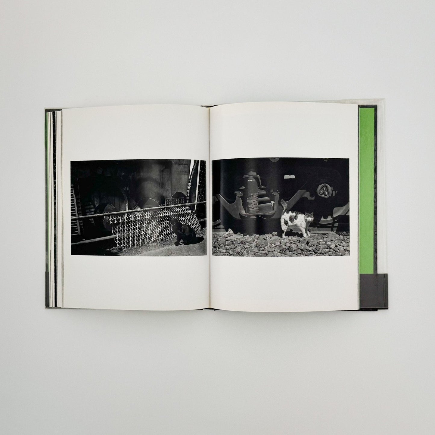 武田花　猫　 - 中央公論社 - 文福