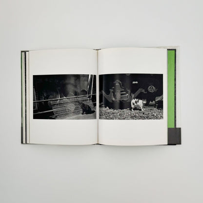 武田花　猫　 - 中央公論社 - 文福