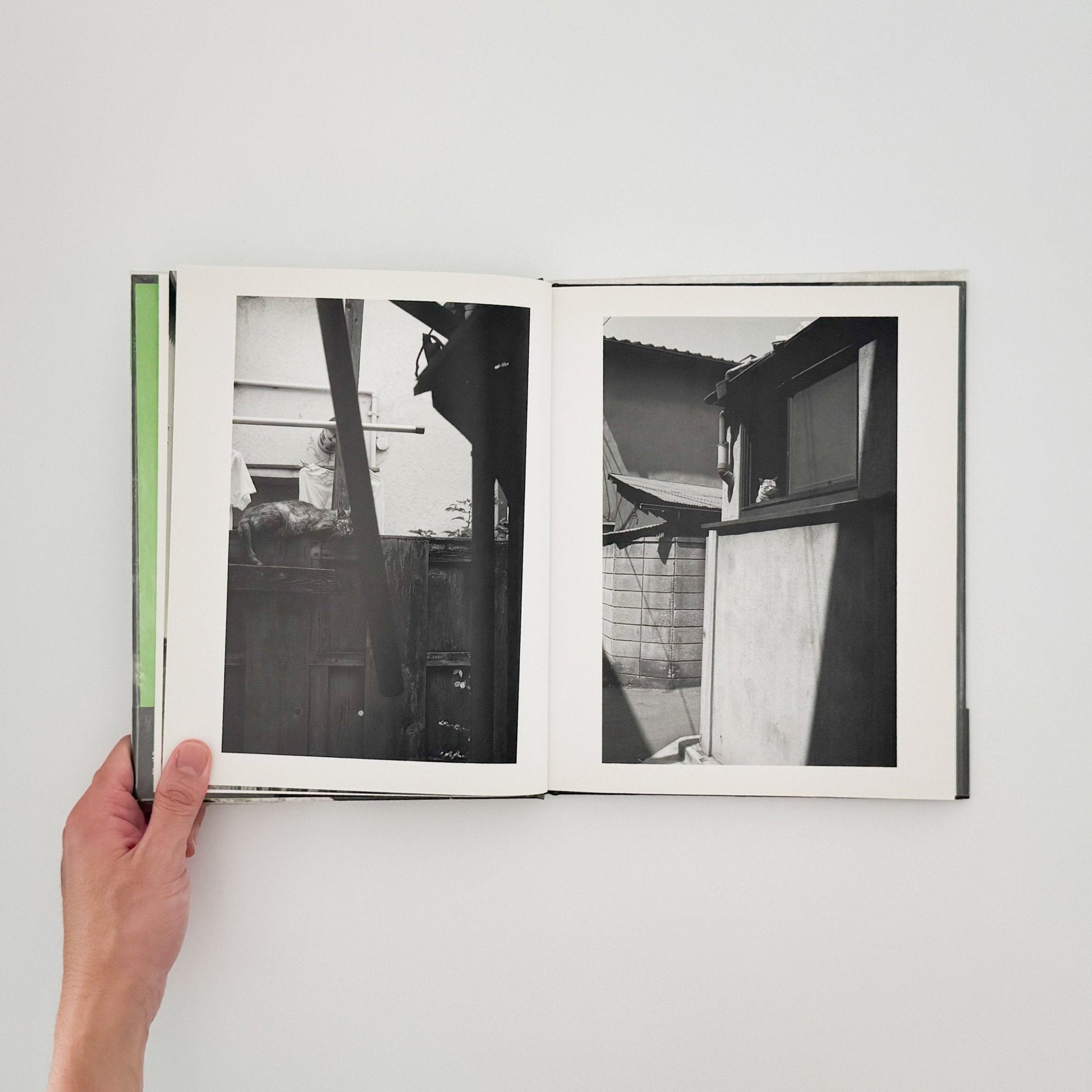 武田花　猫　 - 中央公論社 - 文福