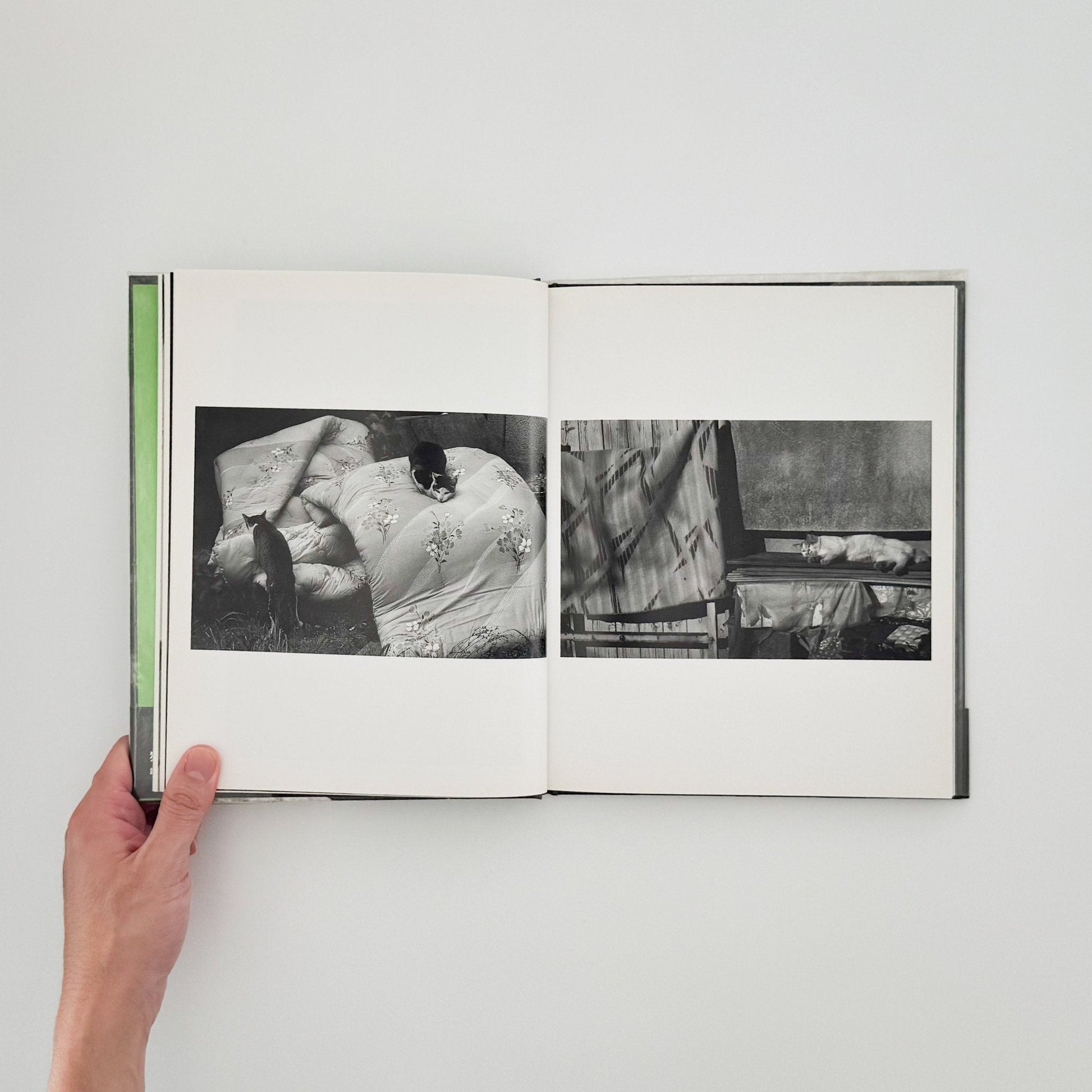 武田花　猫　 - 中央公論社 - 文福