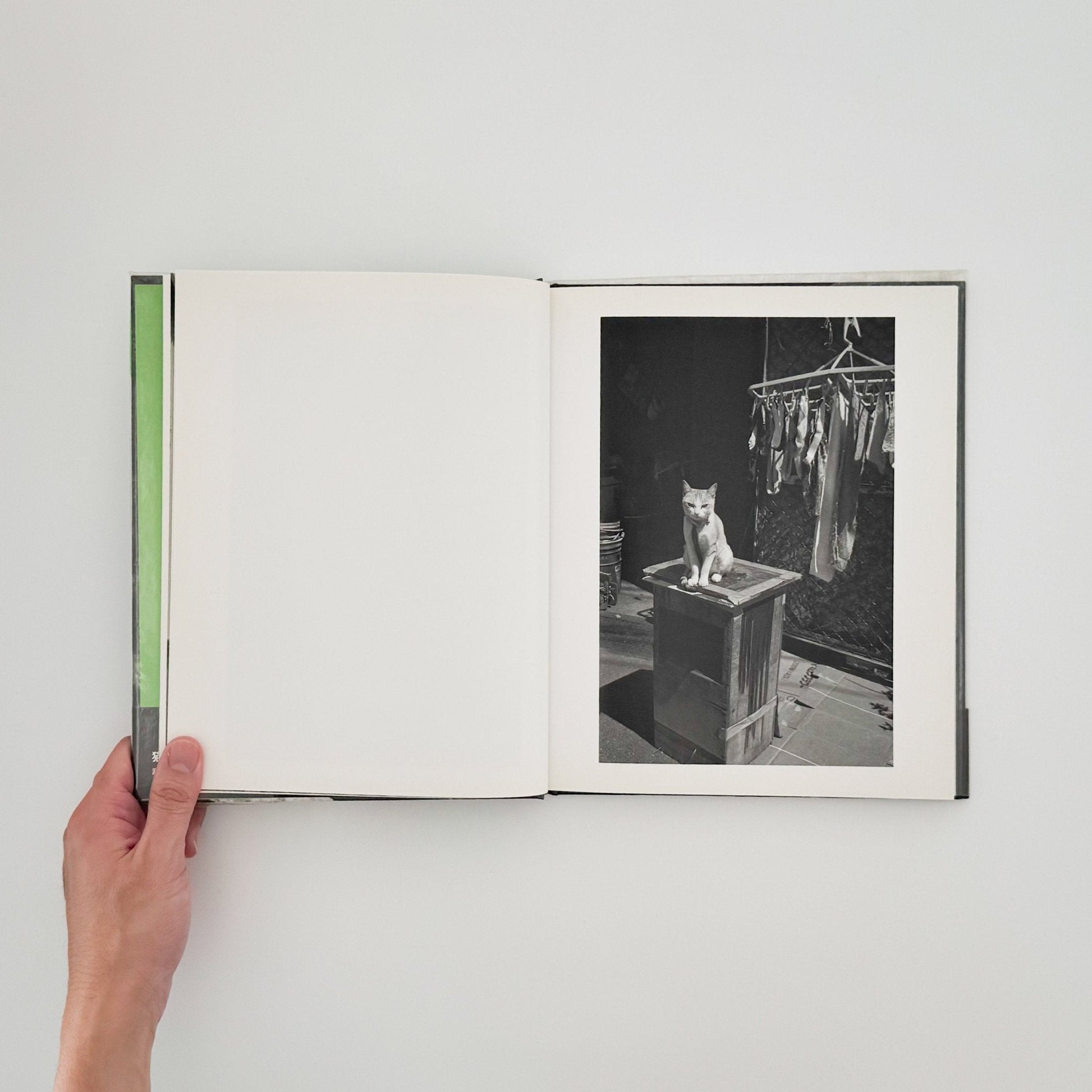 武田花　猫　 - 中央公論社 - 文福