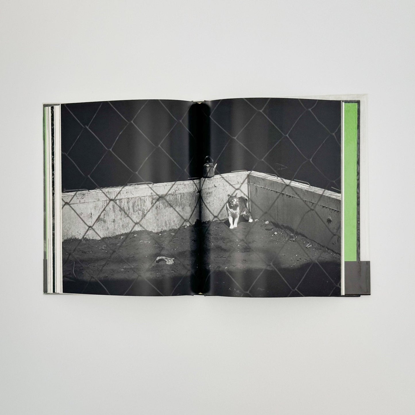 武田花　猫　 - 中央公論社 - 文福