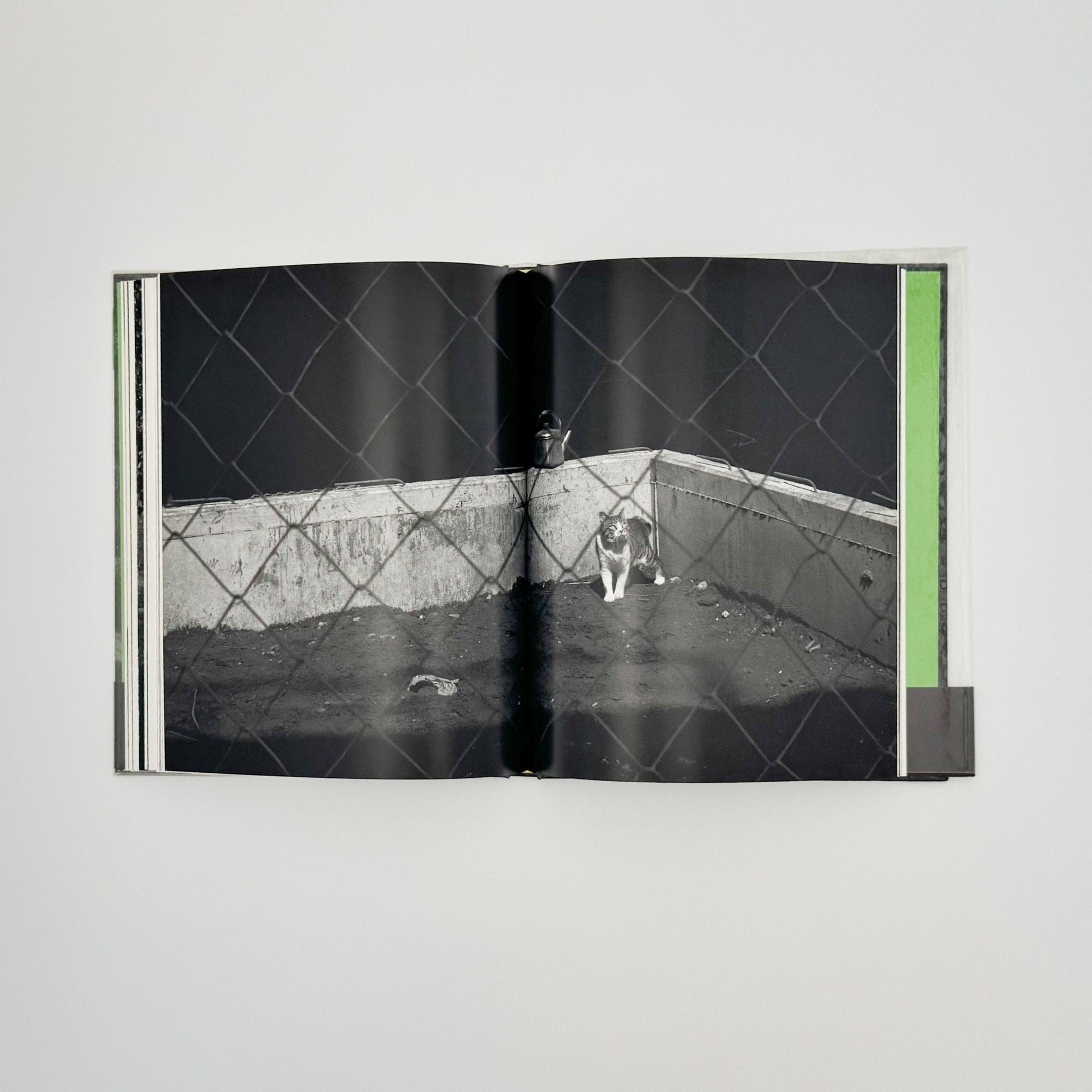 武田花　猫　 - 中央公論社 - 文福