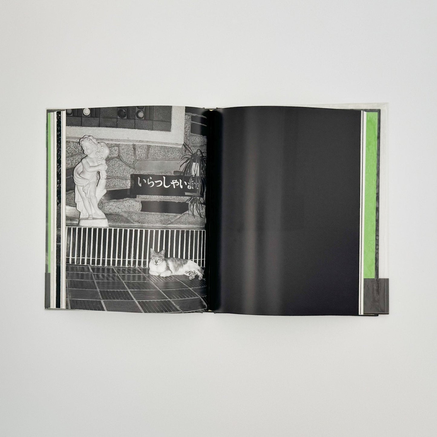 武田花　猫　 - 中央公論社 - 文福