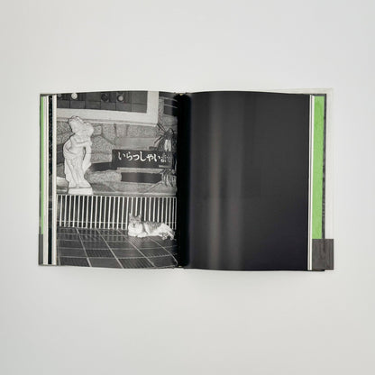 武田花　猫　 - 中央公論社 - 文福