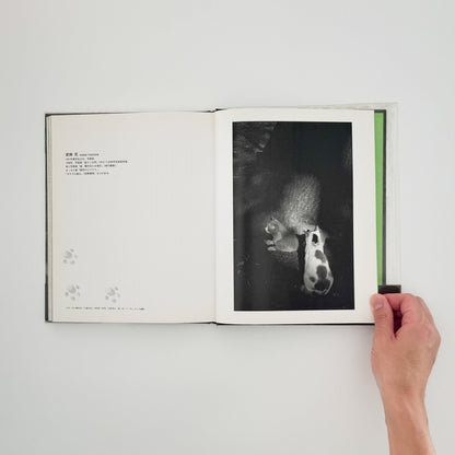 武田花　猫　 - 中央公論社 - 文福