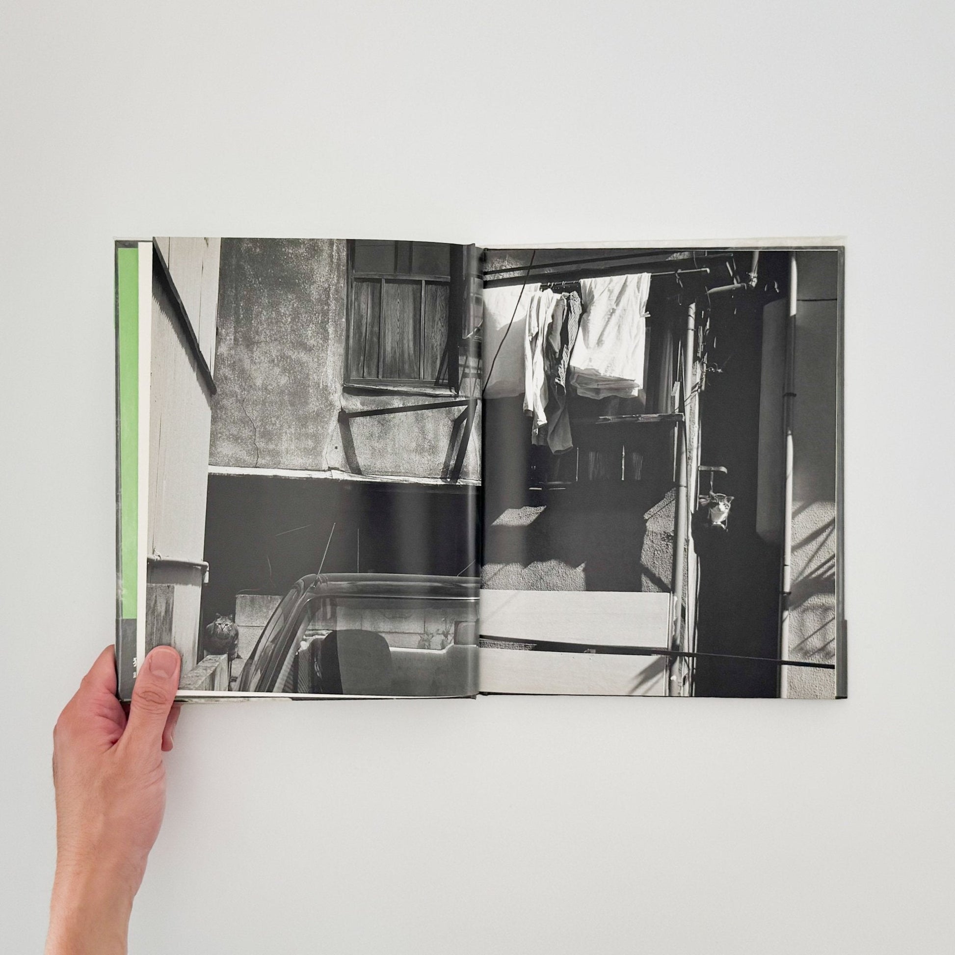 武田花　猫　 - 中央公論社 - 文福