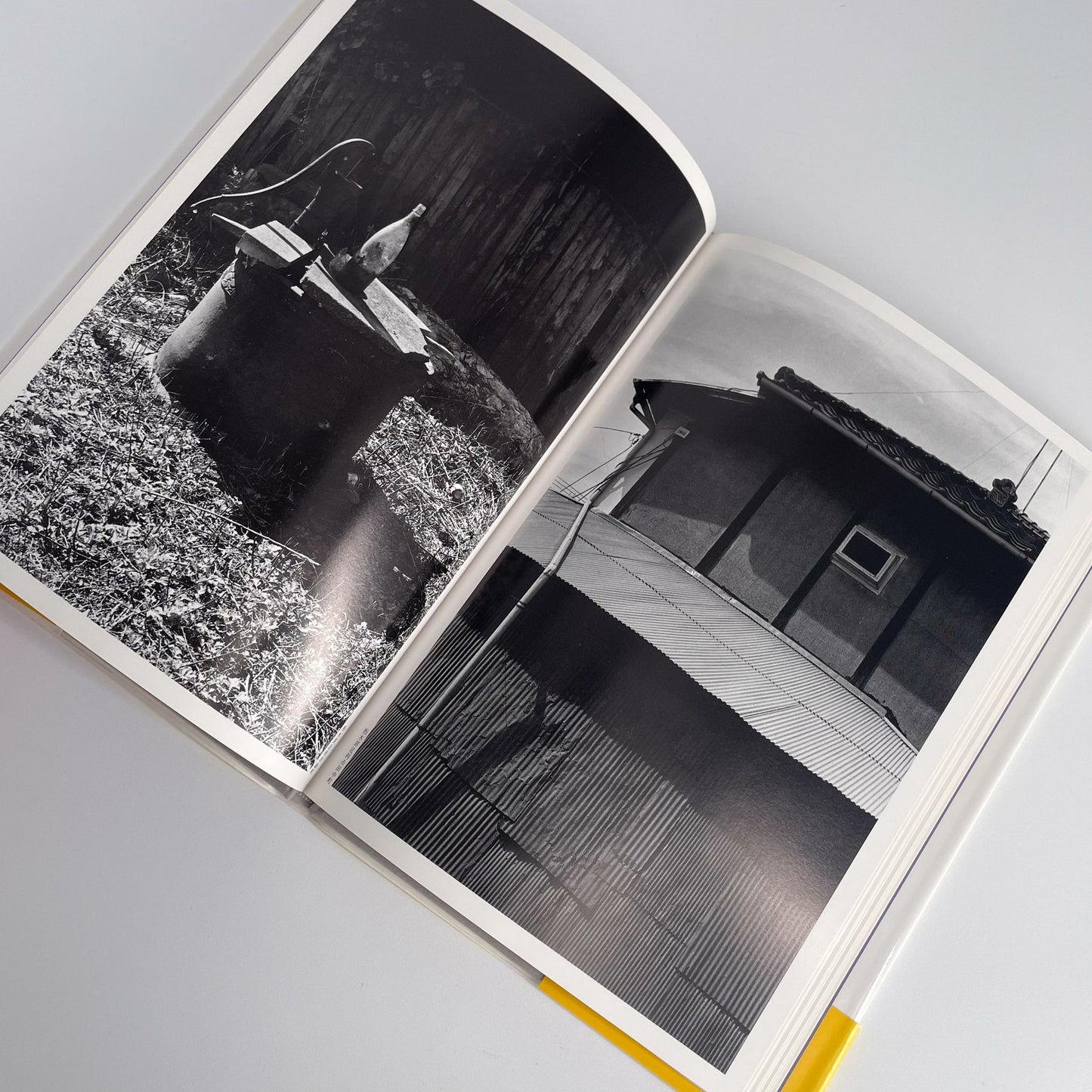 武田花　眠そうな町 アイピーシー