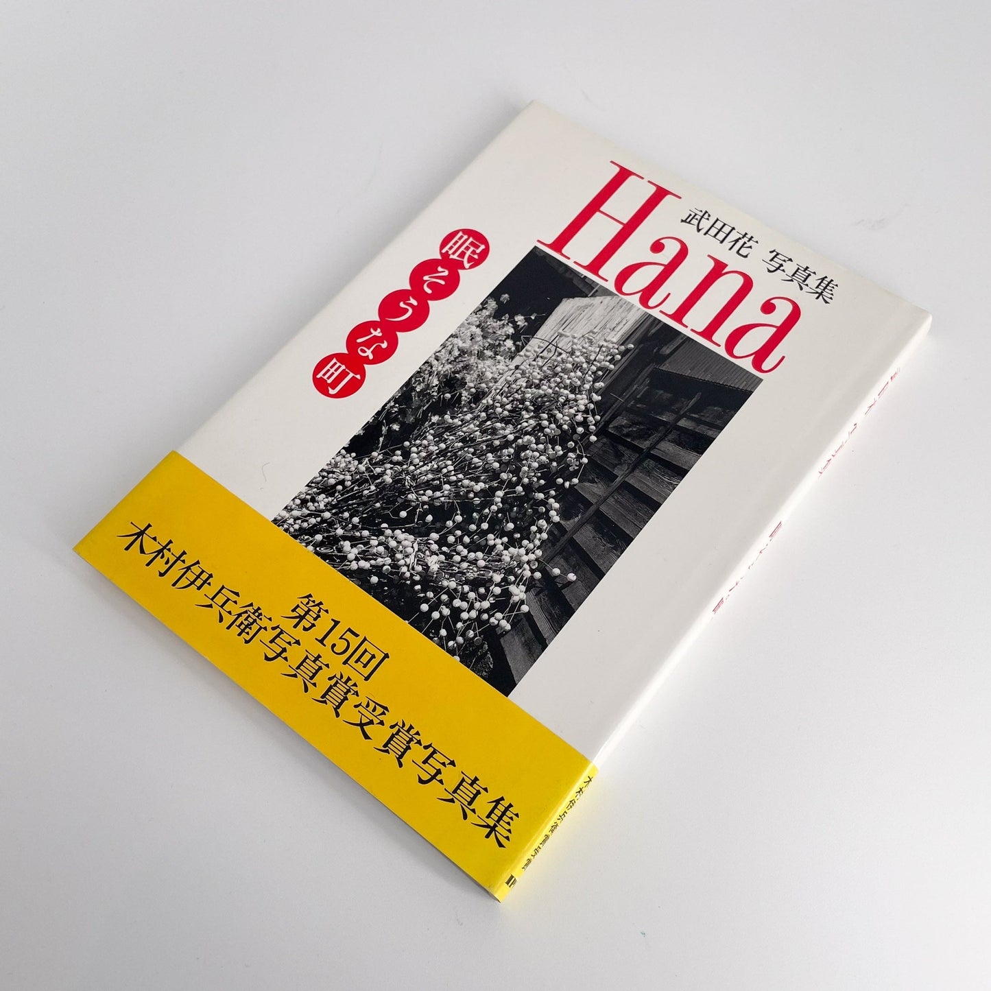 武田花　眠そうな町 アイピーシー