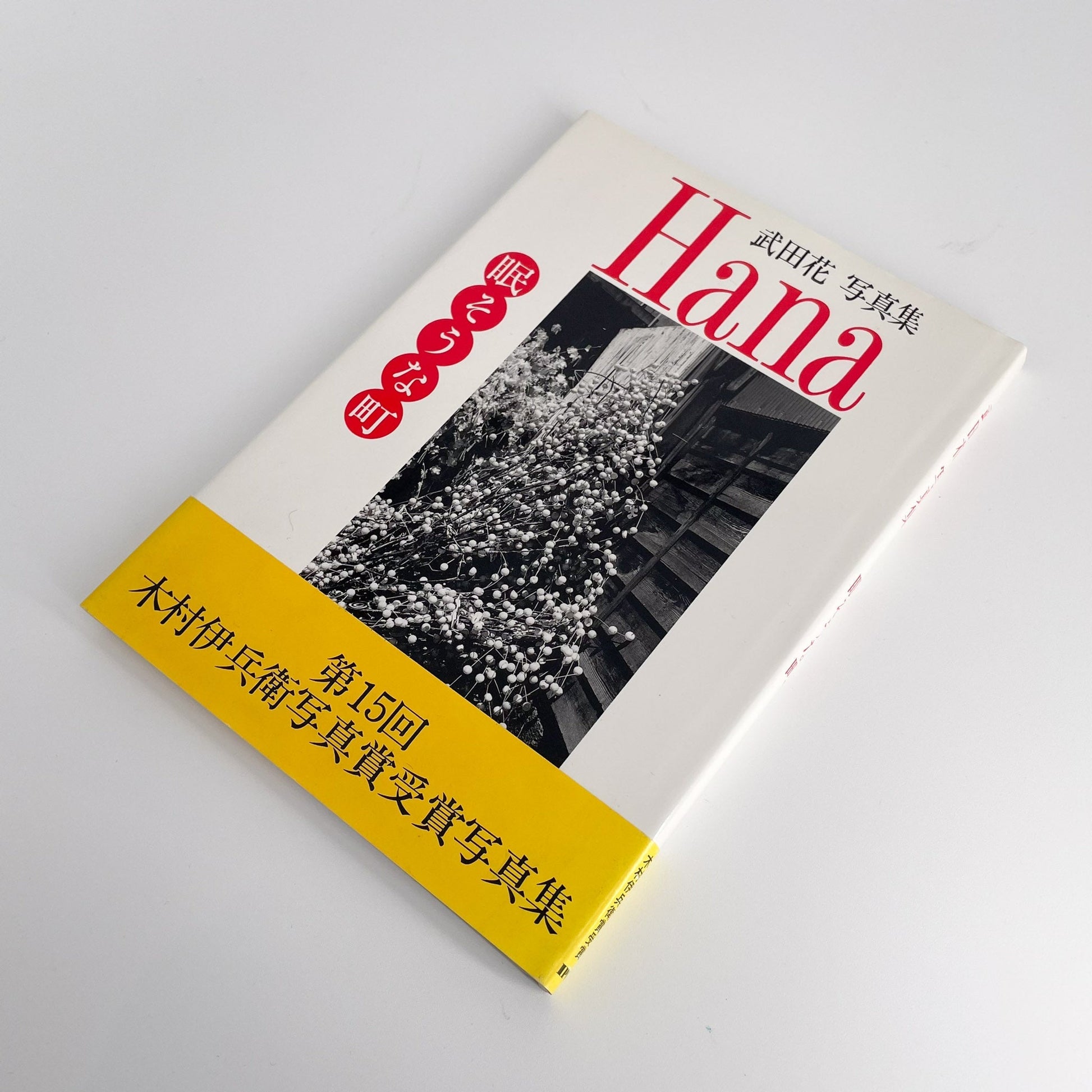 武田花　眠そうな町 アイピーシー