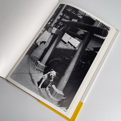 武田花　眠そうな町 アイピーシー