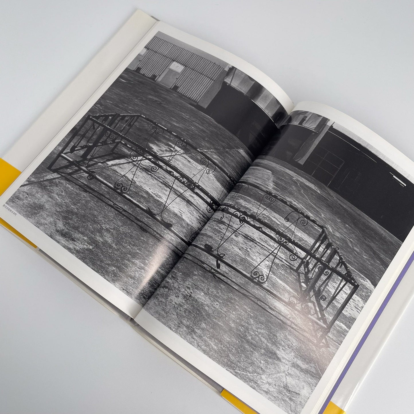 武田花　眠そうな町 アイピーシー