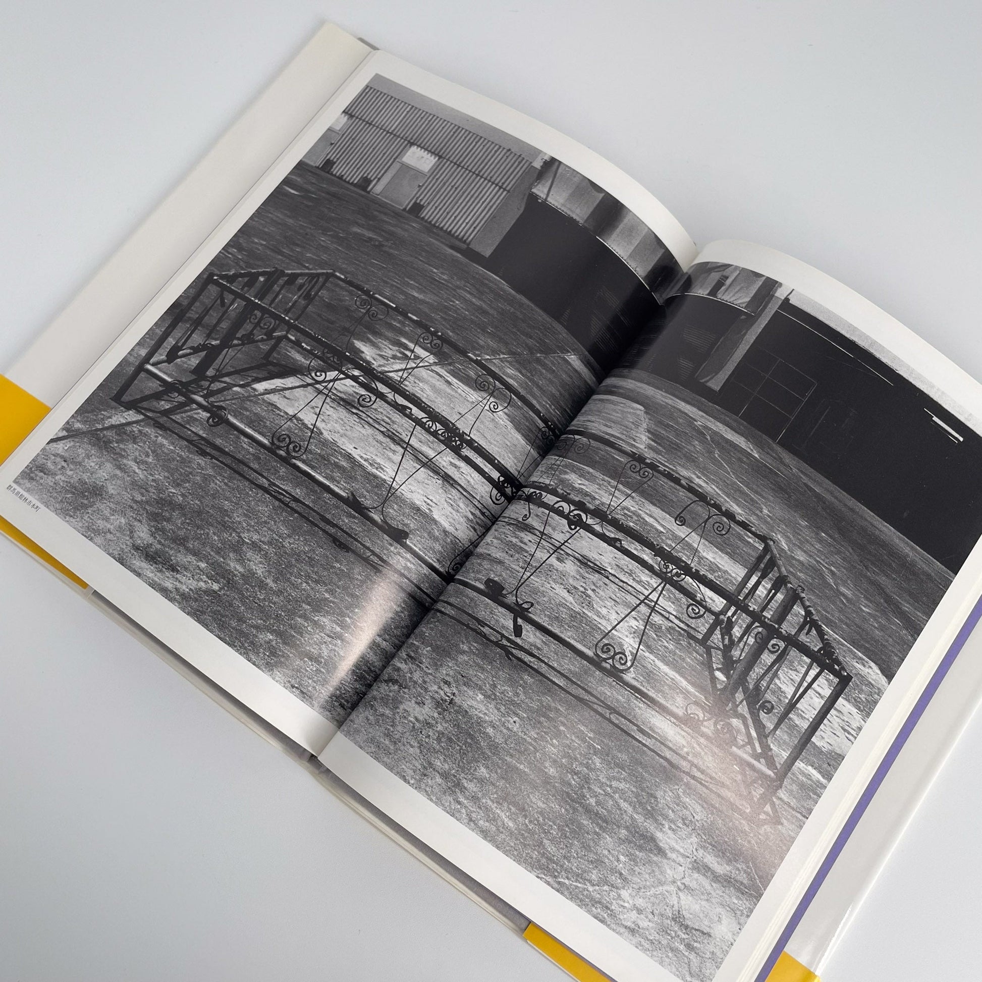 武田花　眠そうな町 アイピーシー