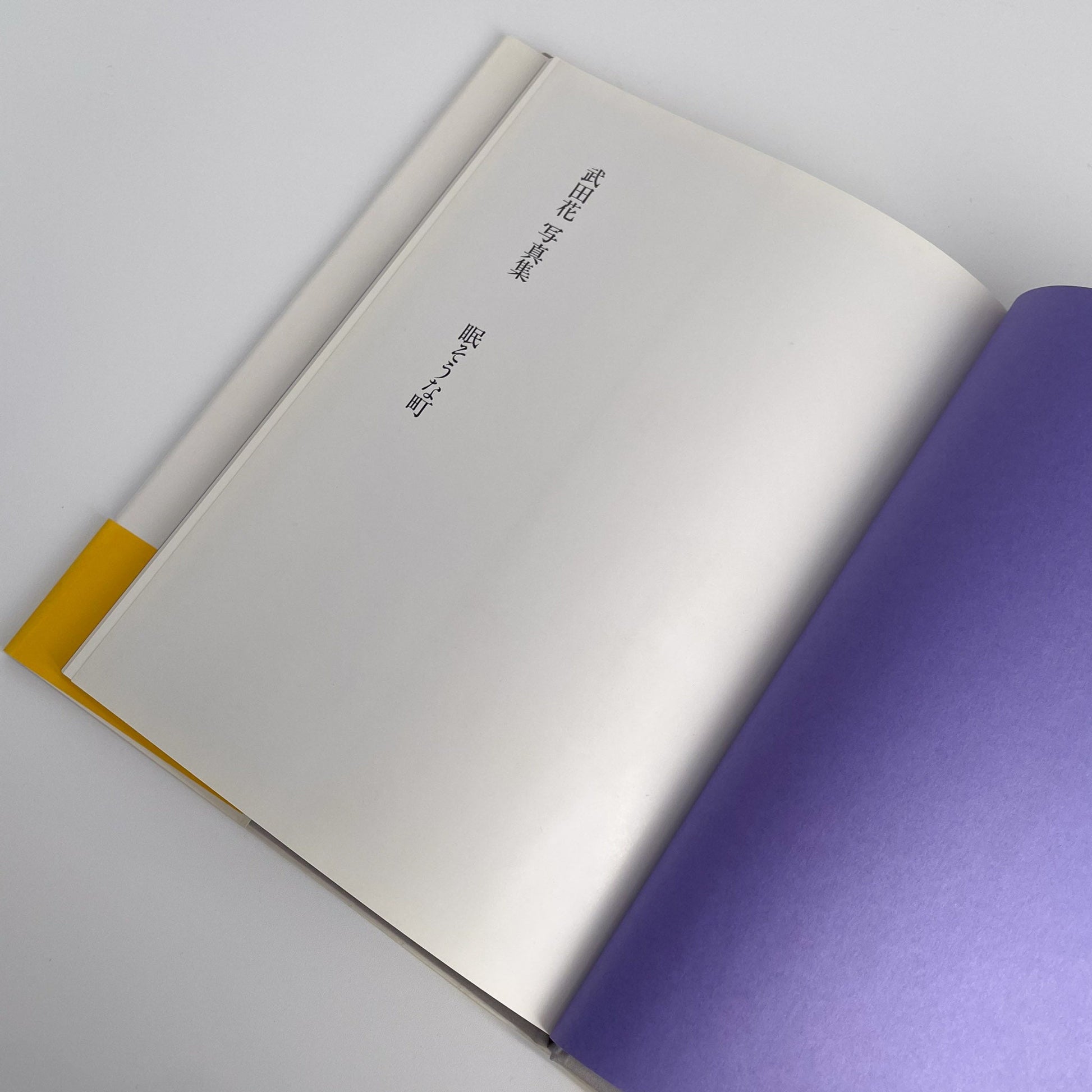 武田花　眠そうな町 アイピーシー