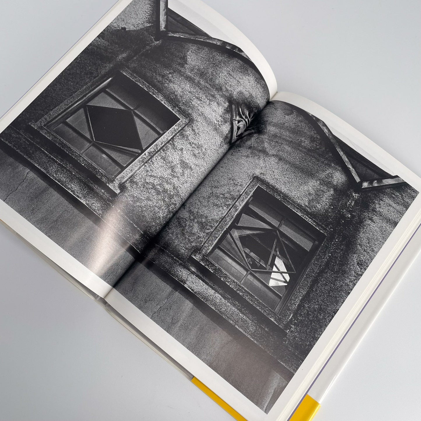 武田花　眠そうな町 アイピーシー