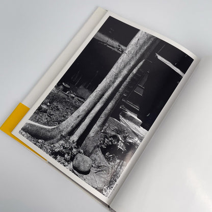 武田花　眠そうな町 アイピーシー