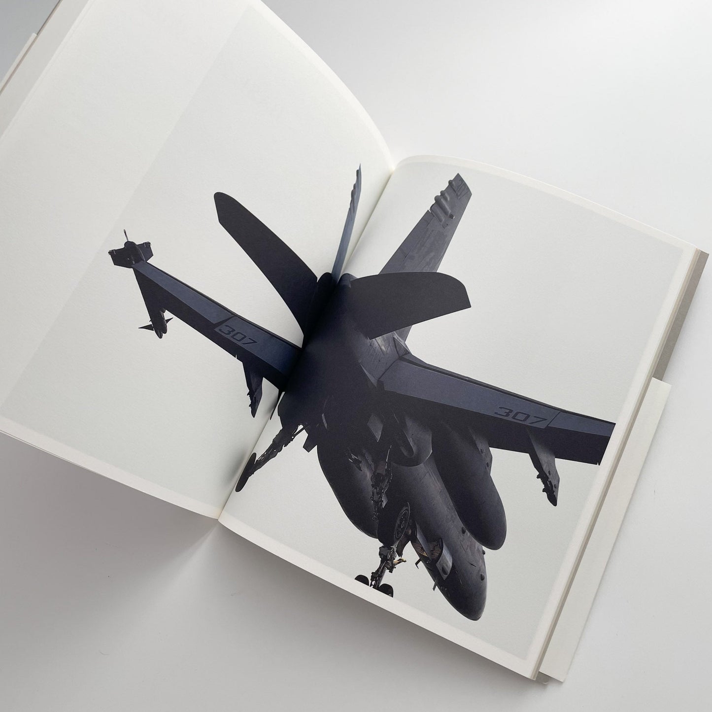 田村彰英　夢の光 - Light of Dreams 日本カメラ社