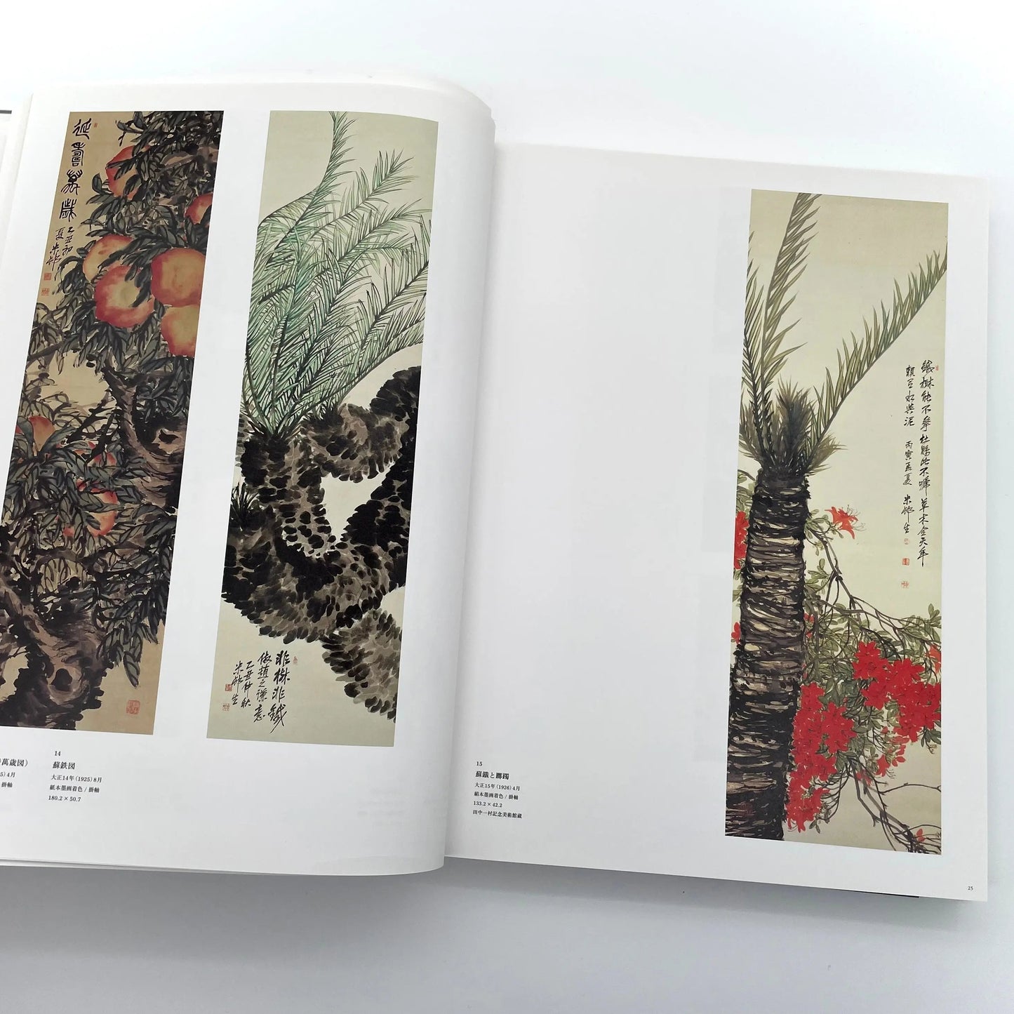 田中一村　新たなる全貌
Isson Tanaka: A New Complete Look