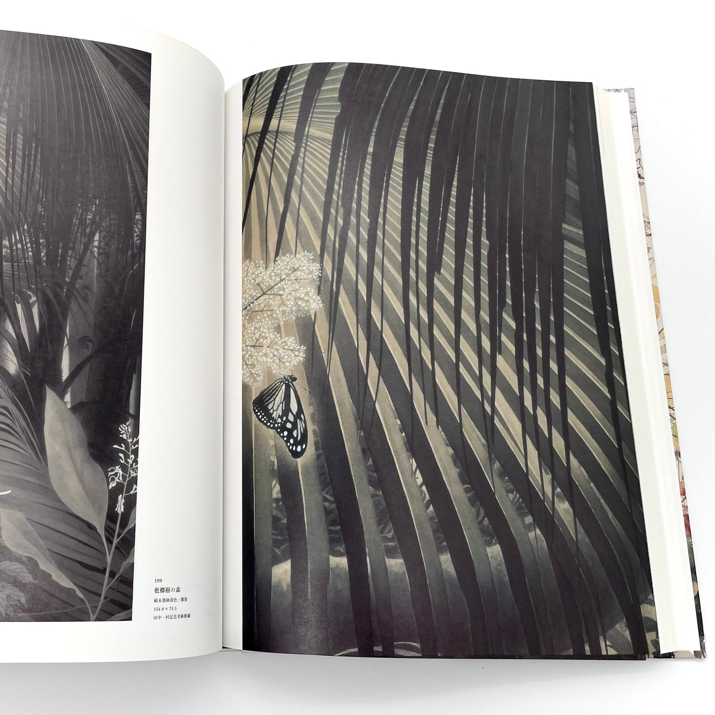 田中一村　新たなる全貌
Isson Tanaka: A New Complete Look