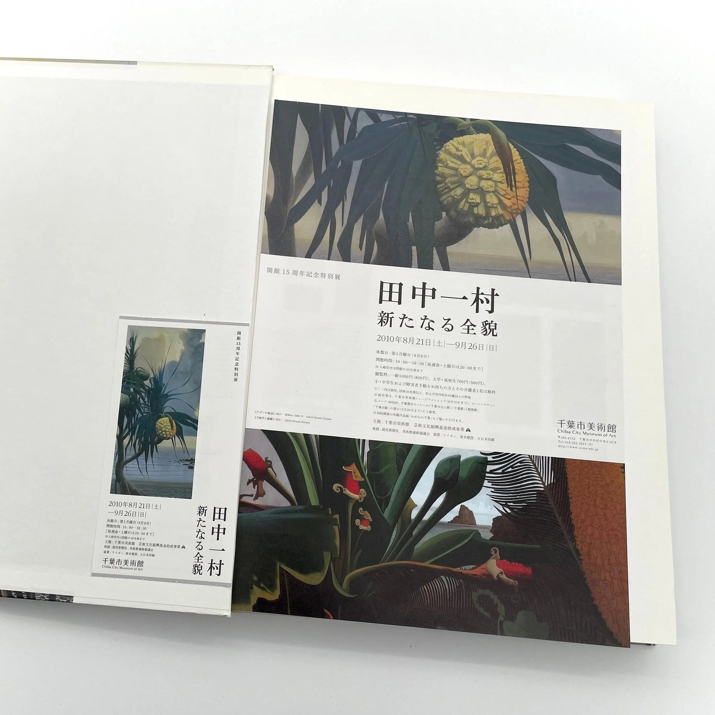 田中一村　新たなる全貌
Isson Tanaka: A New Complete Look