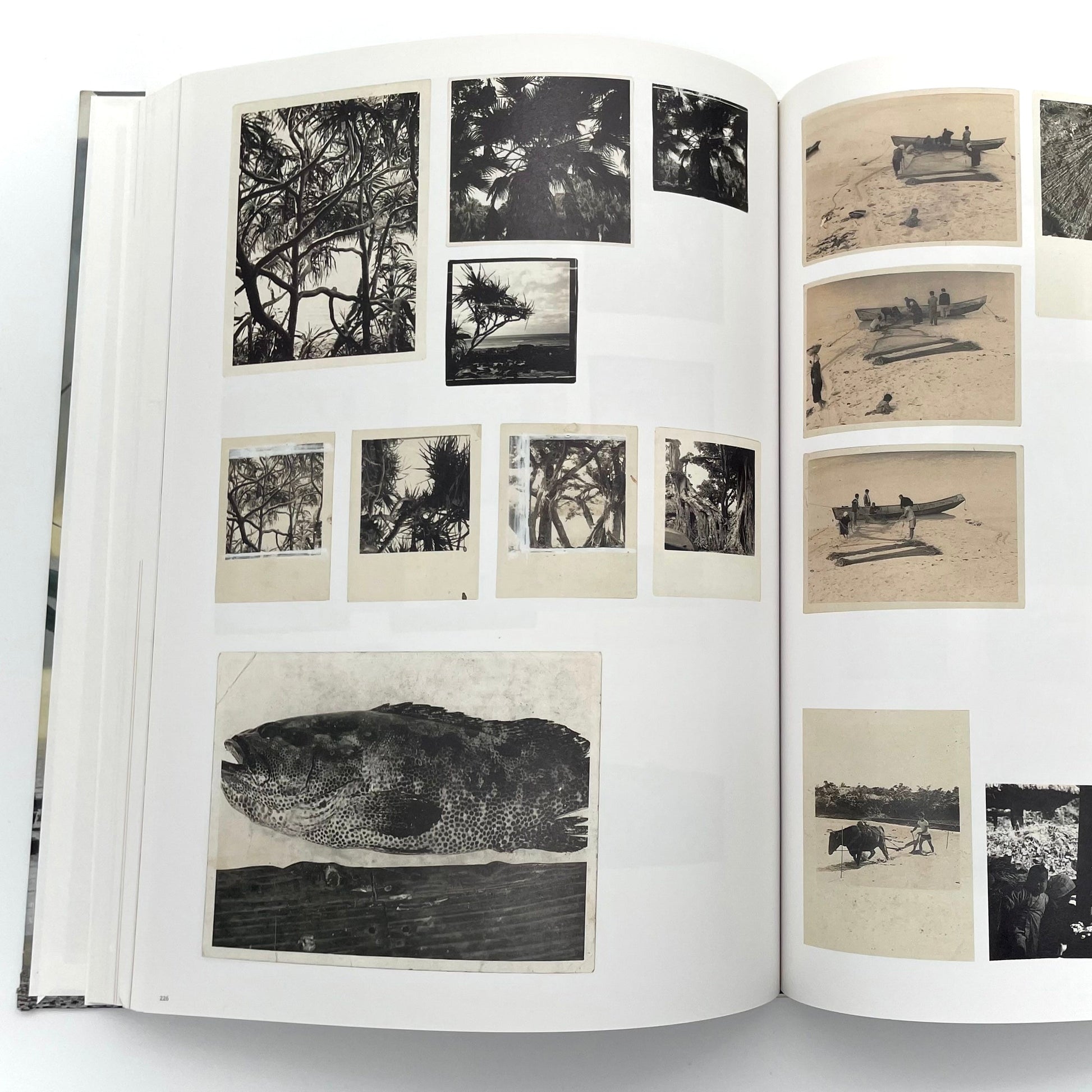 田中一村　新たなる全貌
Isson Tanaka: A New Complete Look