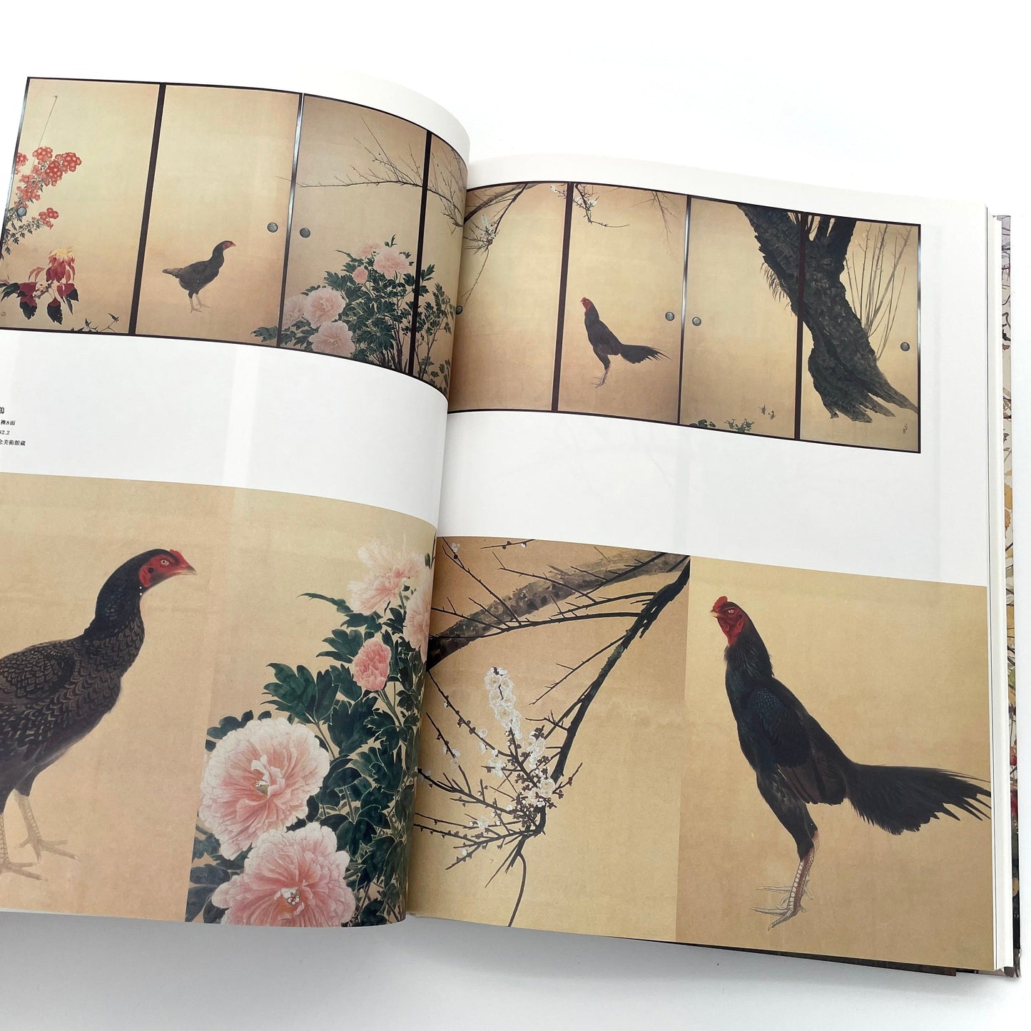 田中一村　新たなる全貌
Isson Tanaka: A New Complete Look