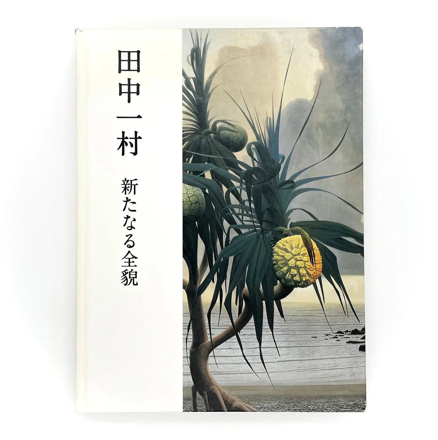 田中一村　新たなる全貌
Isson Tanaka: A New Complete Look