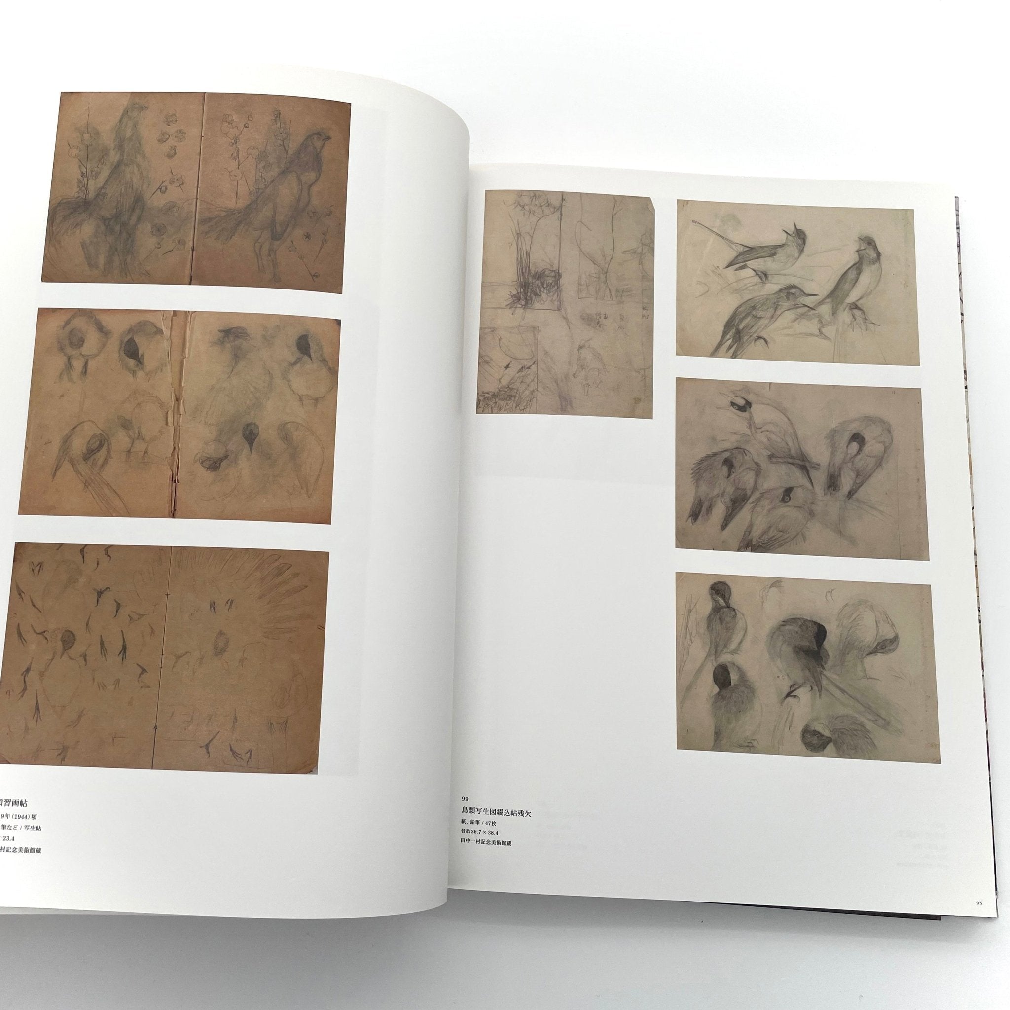 田中一村 新たなる全貌(展覧会公式図録） – 文福