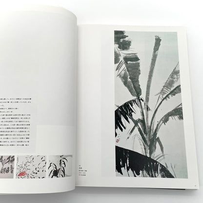 田中一村　新たなる全貌
Isson Tanaka: A New Complete Look