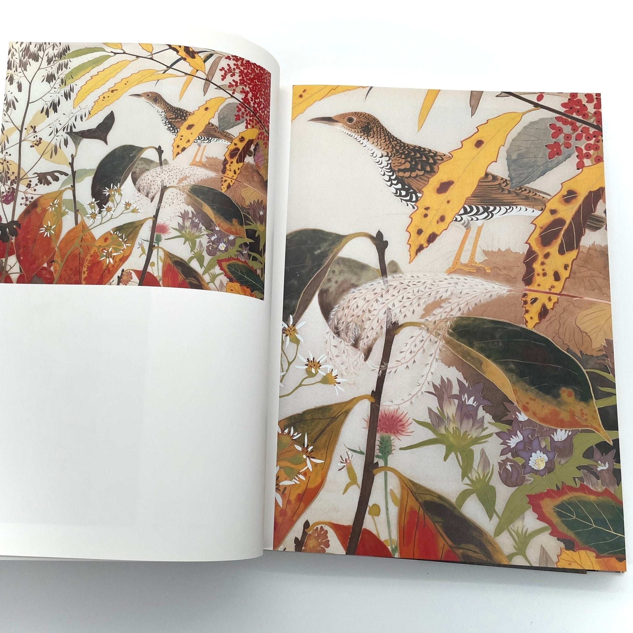 田中一村 新たなる全貌(展覧会公式図録） – 文福
