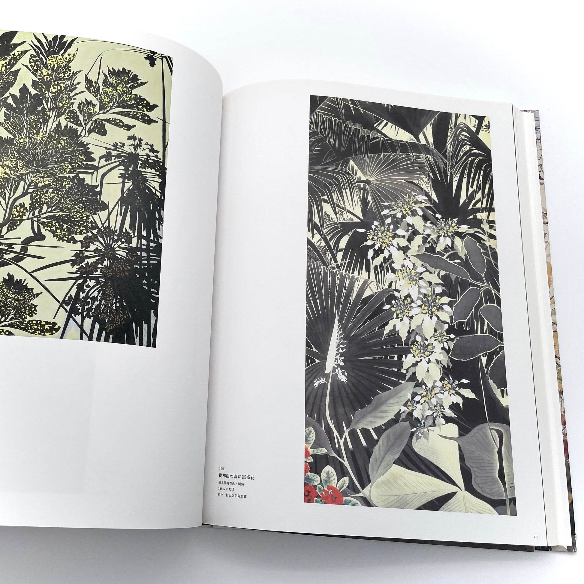 田中一村　新たなる全貌
Isson Tanaka: A New Complete Look