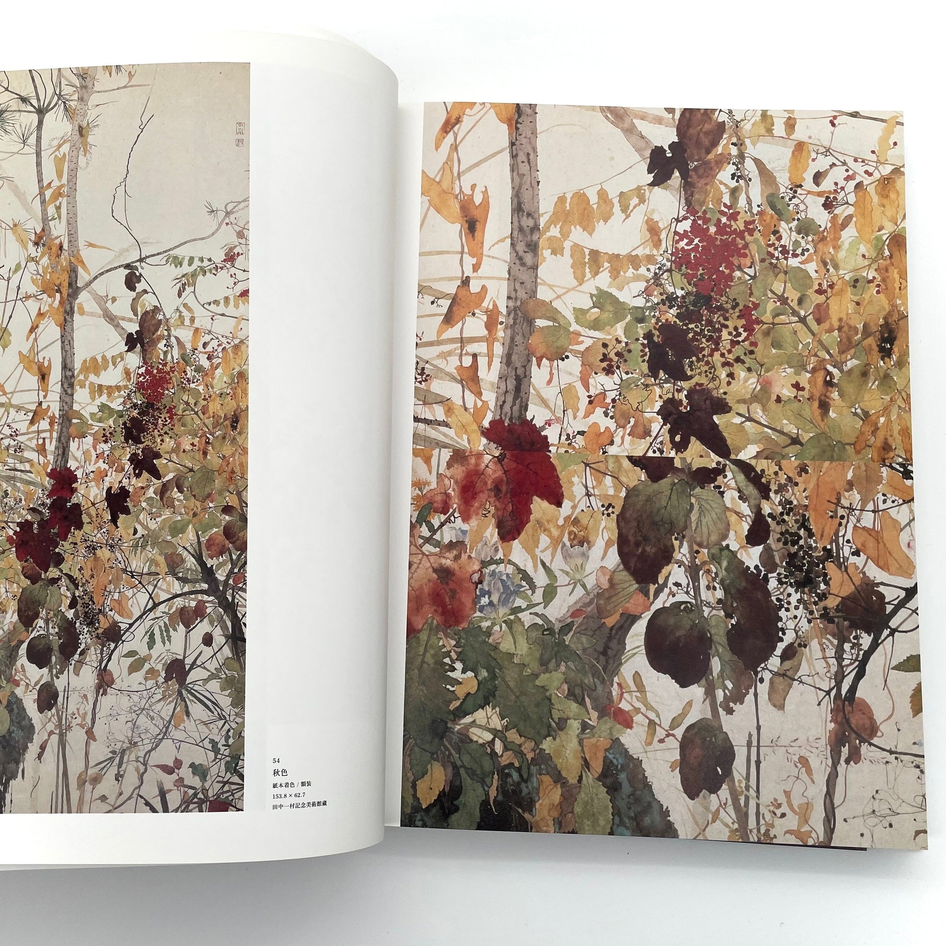 田中一村　新たなる全貌
Isson Tanaka: A New Complete Look