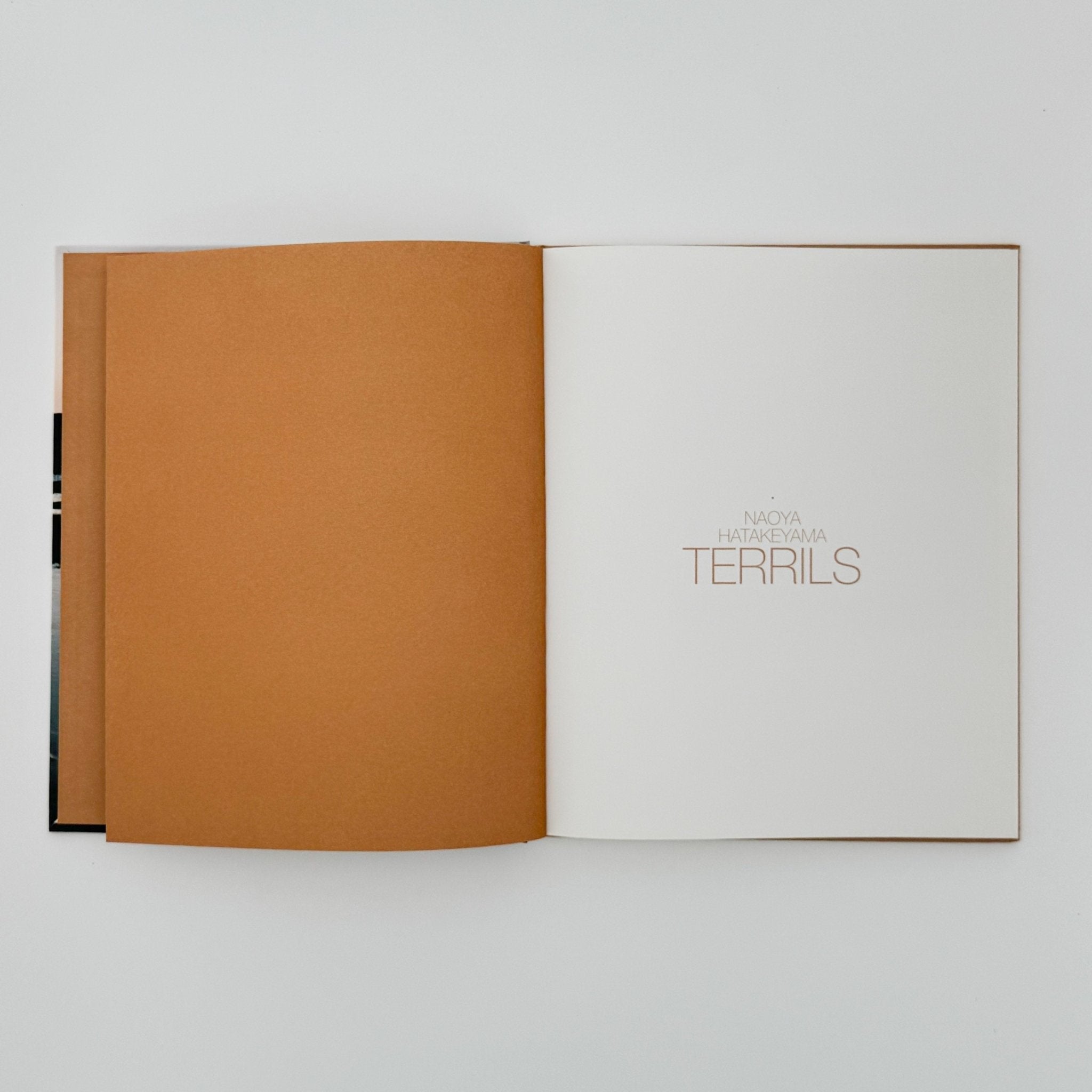 仏文) 畠山直哉写真集 TERRILS – 文福