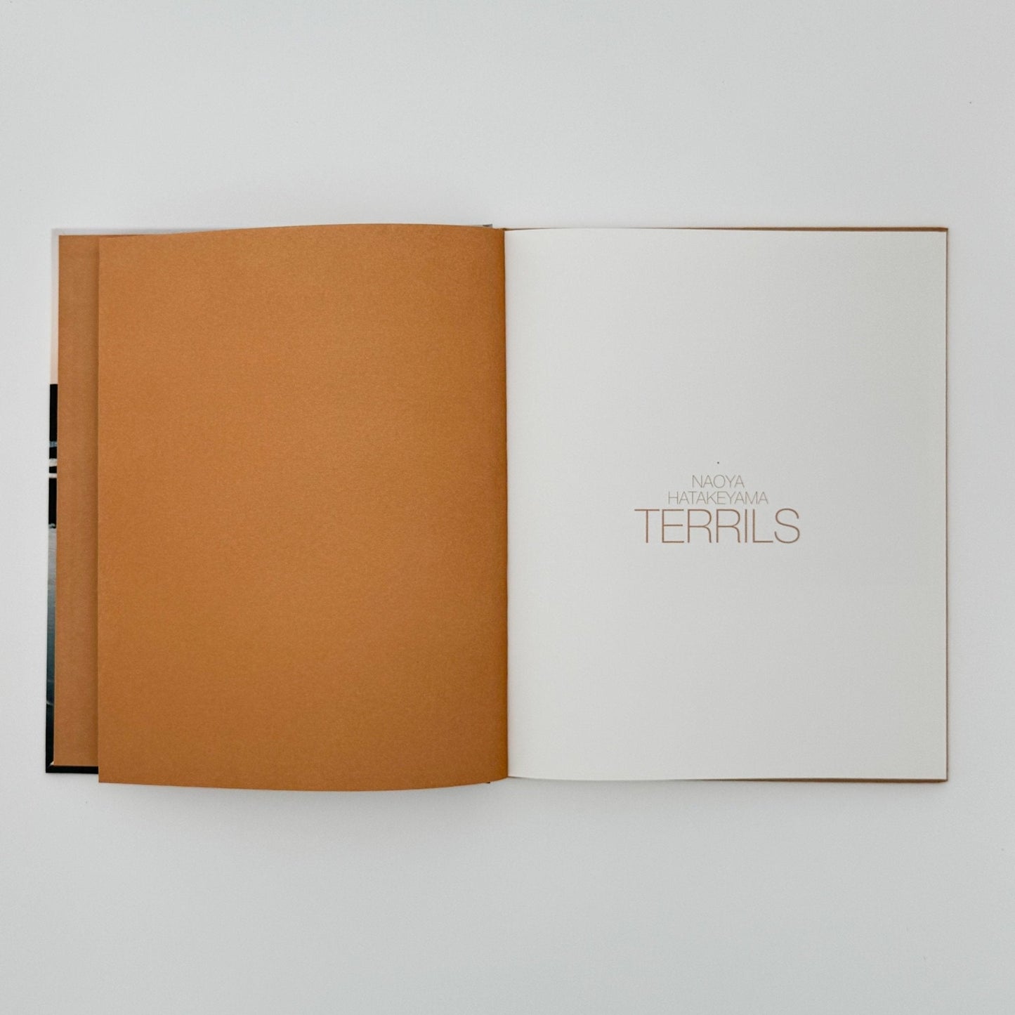 (仏文) 畠山直哉　TERRILS - LIGHT MOTIV - 文福
