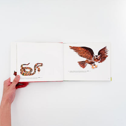 エリック・カール展　The Art of Eric Carle - Eric Carle / エリック・カール - 文福
