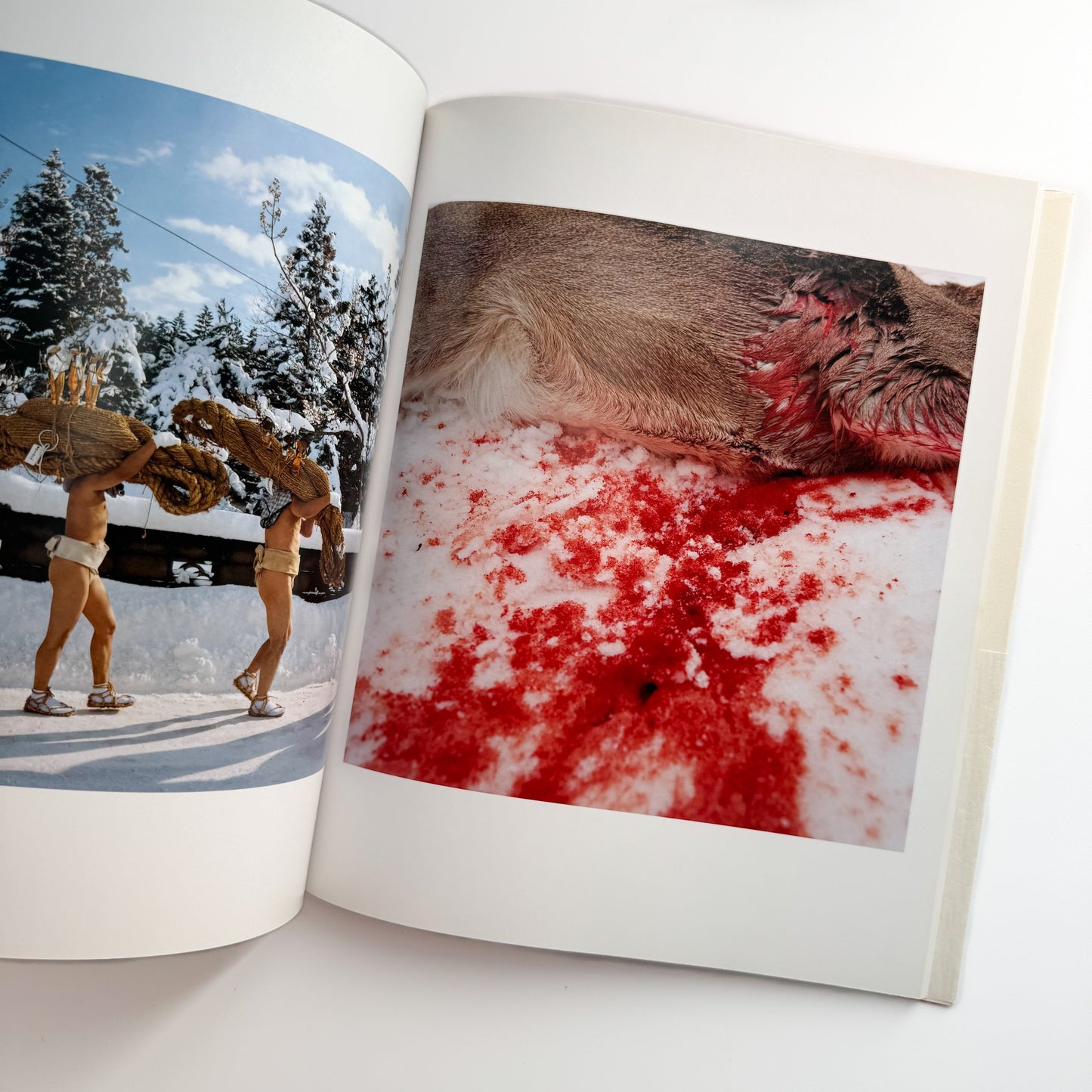 田附勝　東北  Tohoku 2006-2011 リトル・モア