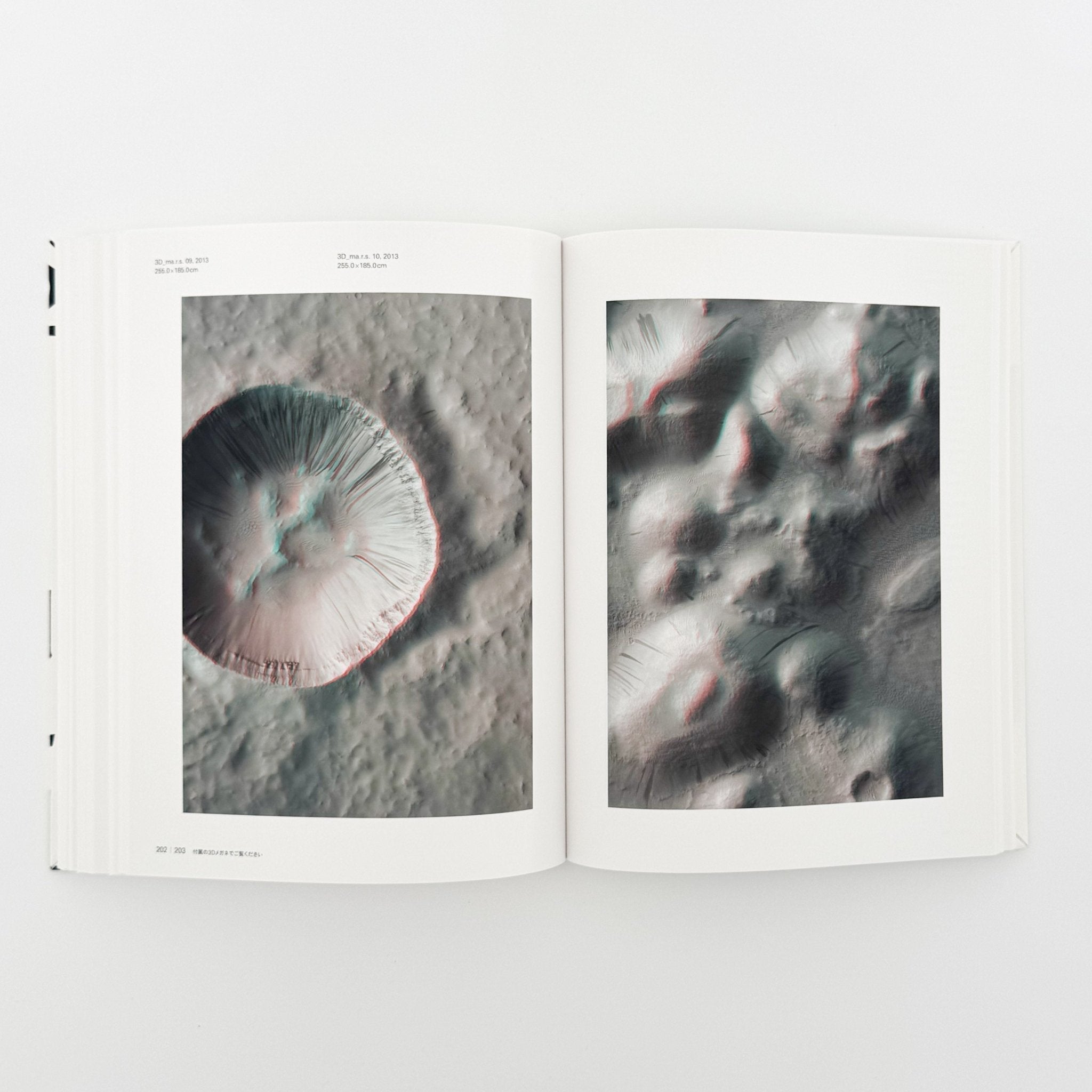 トーマス・ルフ展図録Thomas Ruff / 読売新聞社– 文福